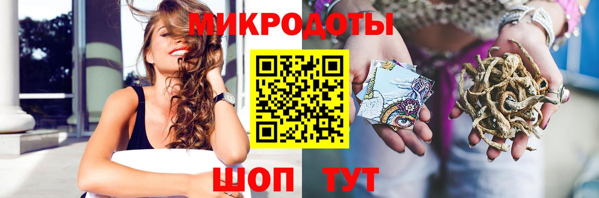 Псилоцибиновые грибы Psilocybine cubensis  Вход с VPN  Заволжье 