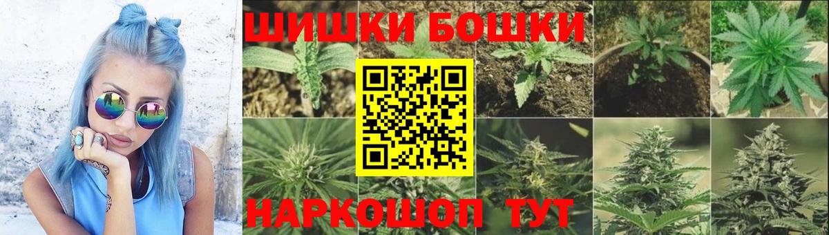 Шишки марихуана марихуана  Бошки Шишки план  Заволжье  Вход с VPN  Бошки марихуана VHQ  Бошки Шишки индика 